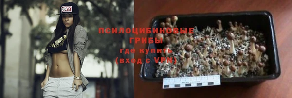 гидра Лиски