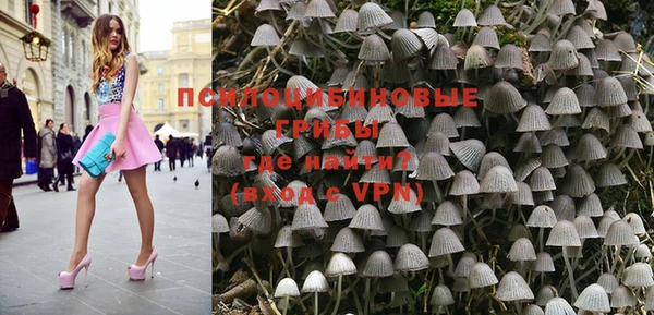 гидра Лиски