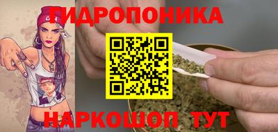 гидра Краснодар