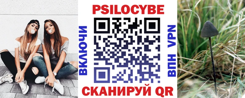 Псилоцибиновые грибы GOLDEN TEACHER Оренбург