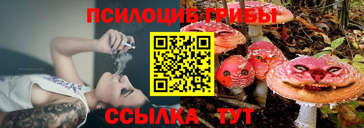 Оренбург  Псилоцибиновые грибы прущие грибы  Галлюциногенные грибы прущие грибы  Вход с VPN 