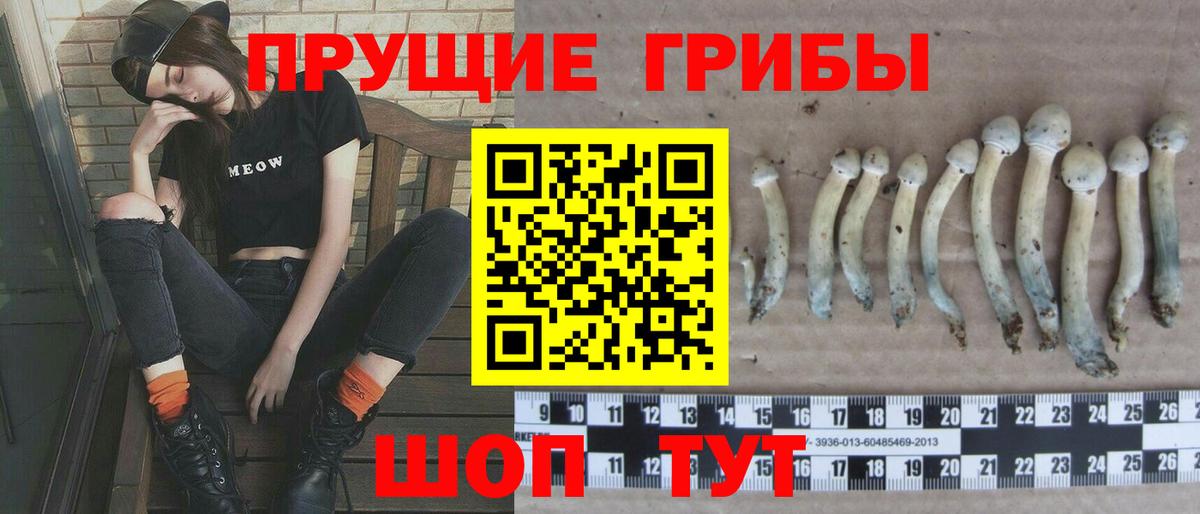 Псилоцибиновые грибы мухоморы Оренбург